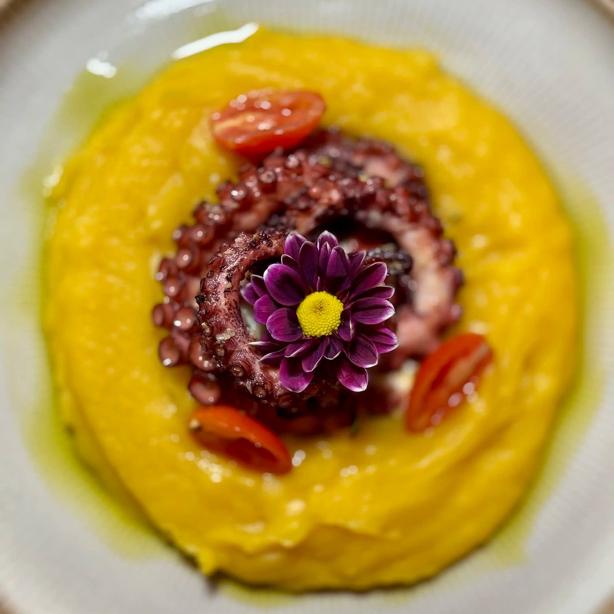 Canoas Ilha Grande (19)