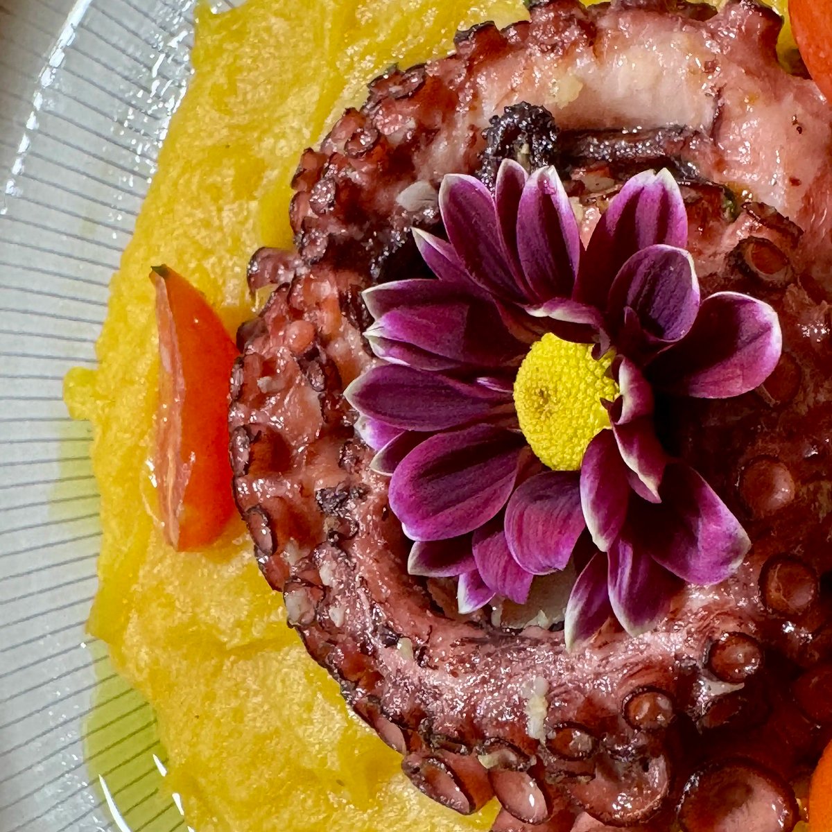 Canoas Ilha Grande (26)