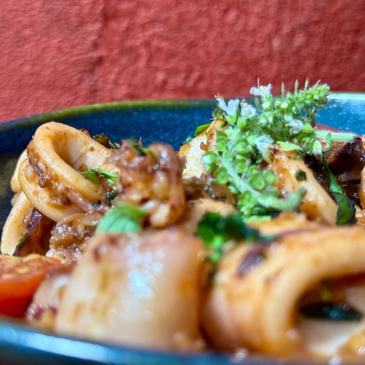 Canoas Ilha Grande (3)