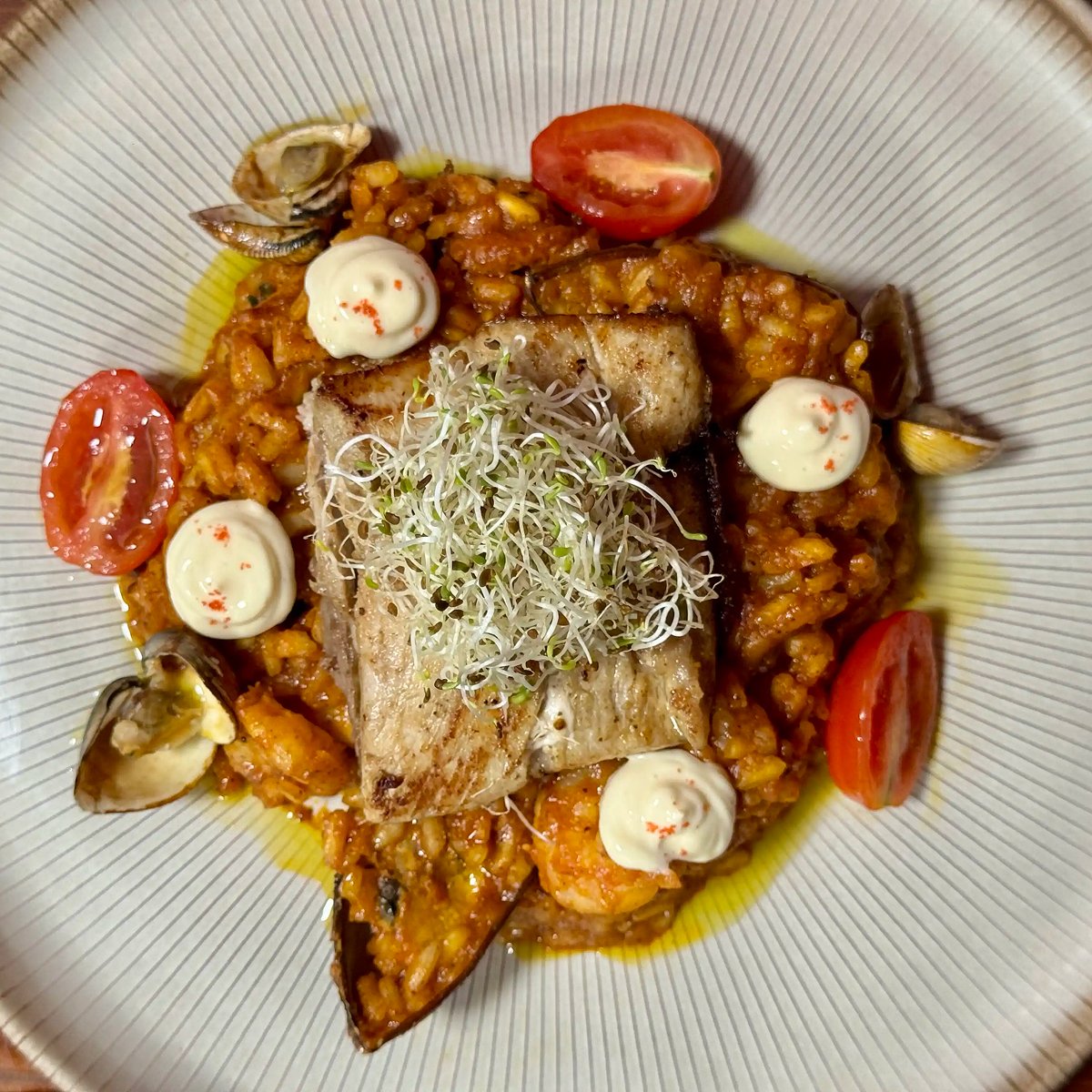 Canoas Ilha Grande (33)