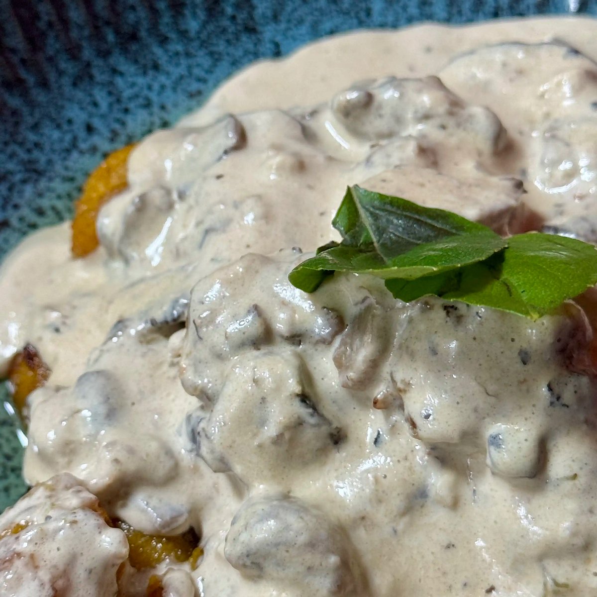 Canoas Ilha Grande (43)