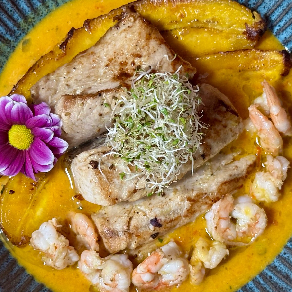 Canoas Ilha Grande (49)