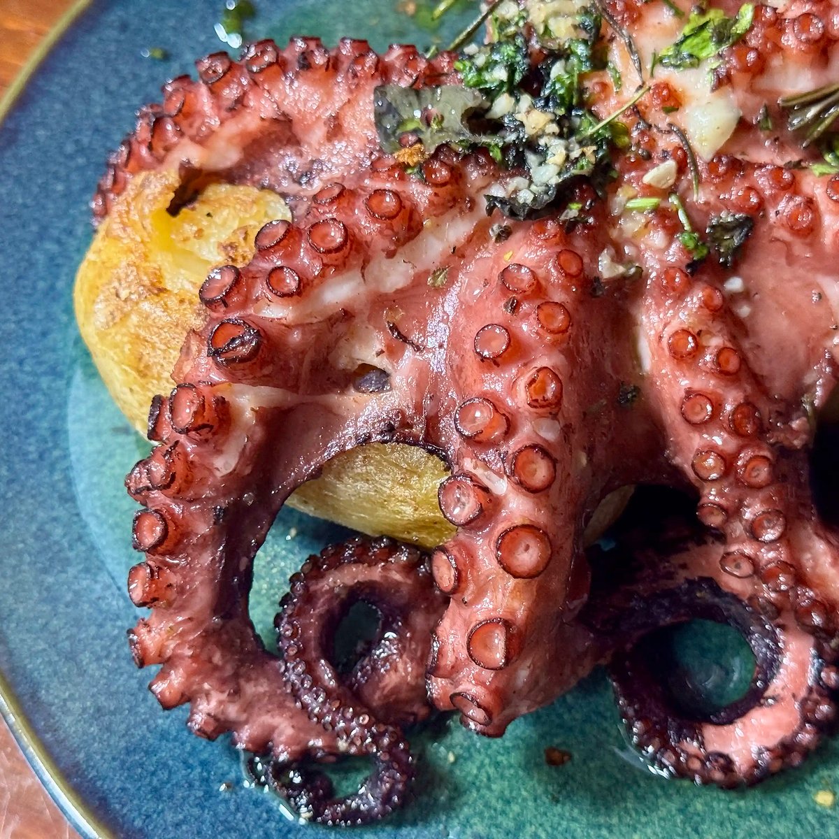 Canoas Ilha Grande (54)